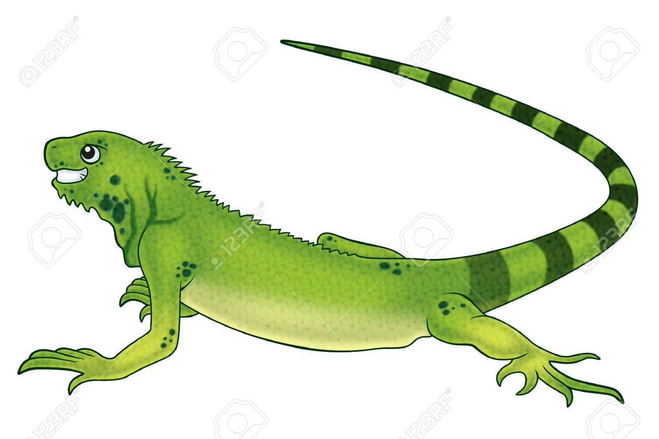 1300x866 Green Iguana Clipart Desert Lizard