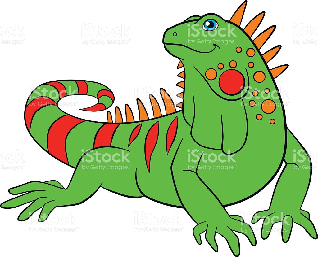 1024x830 Green Iguana Clipart Tropical Animal