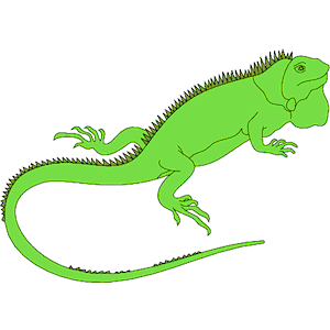 300x300 Iguana Clip Art Clipart Free Download 2
