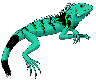 309x257 Iguana Clip Art Kids Free Clipart Images