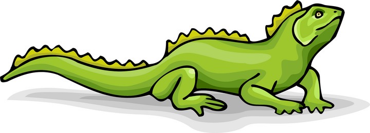 720x259 Iguana Clipart