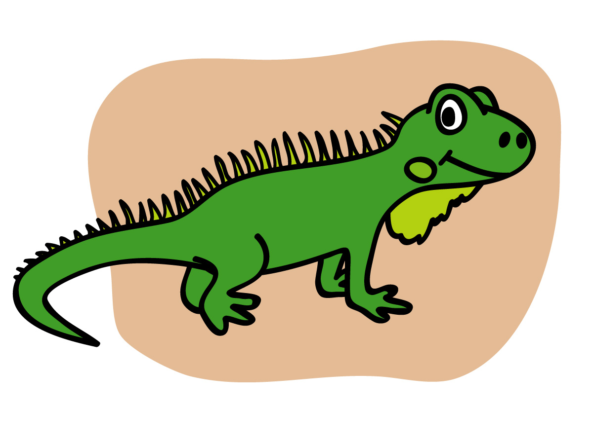 1200x900 Clip Art Basic Words Iguana Color Labeled Abcteach