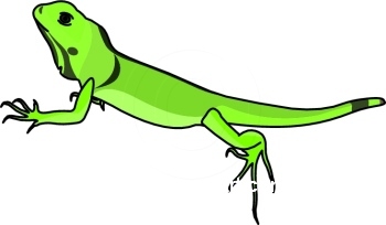 350x204 Iguana Clip Art