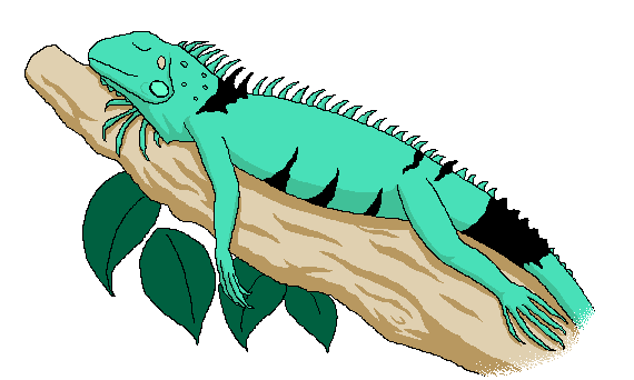 570x342 Emma's Iguana Clipart Page Clipart Panda