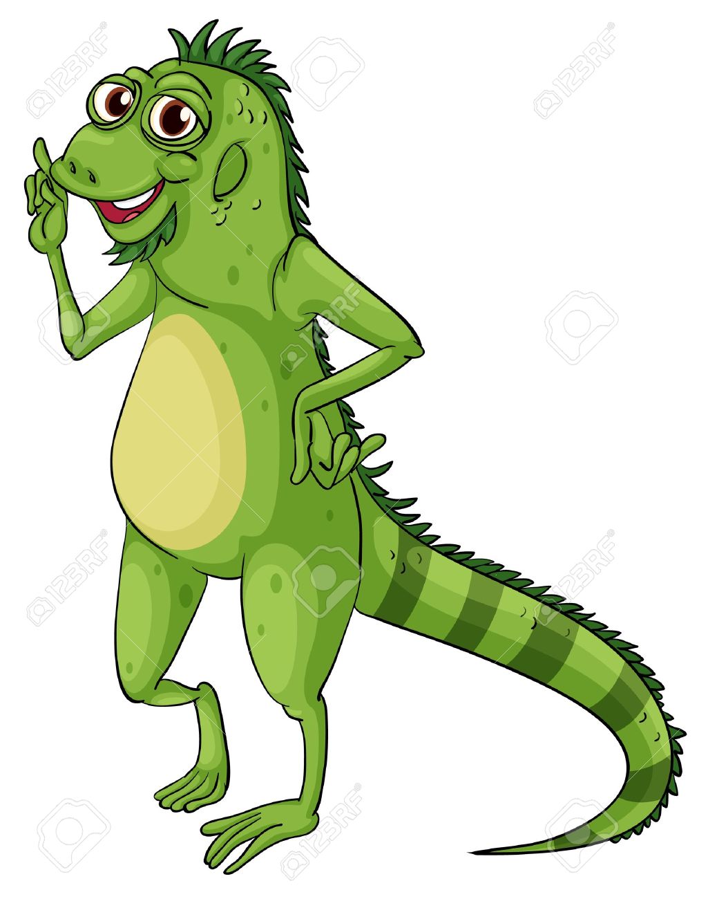 1025x1300 Green Iguana On A White Background Royalty Free Cliparts, Vectors