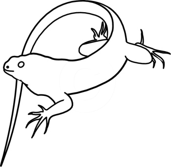 350x343 Iguana Clipart Black And White Clipart Panda