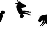 150x150 Tumbling Clipart Tumbling Illinois Park District Gymnastics