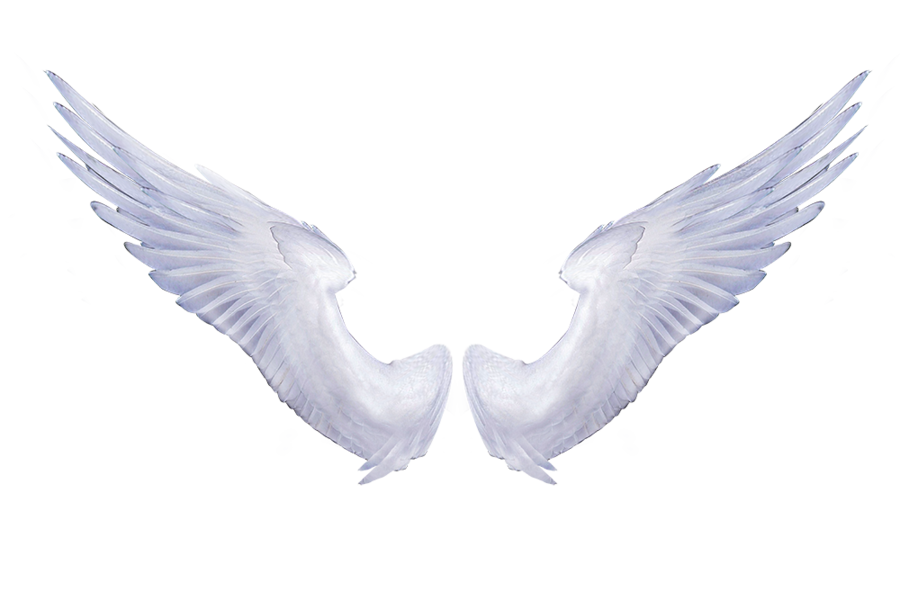 900x600 White Angel Wings 1 By Sassiinks