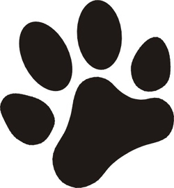 250x271 Paw Clipart Real Dog