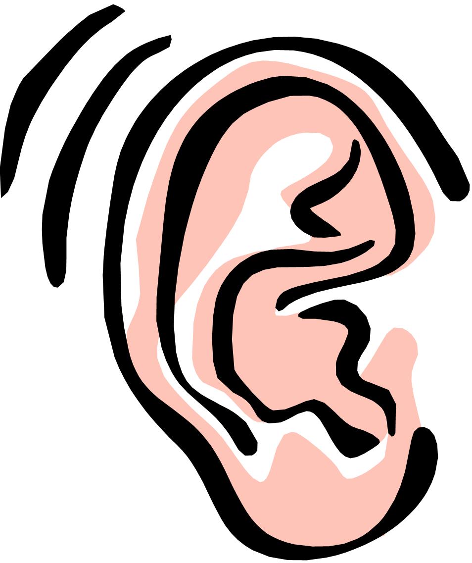 954x1137 Ear Hearing Clipart