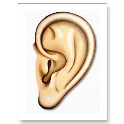 400x400 Cartoon Ear Clipart