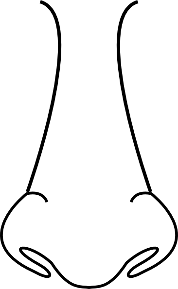 366x595 Nose Black And White Clipart