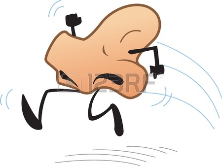 450x337 Nose Images Amp Stock Pictures. Royalty Free Nose Photos And Stock