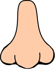 237x298 Nose Smell Clipart