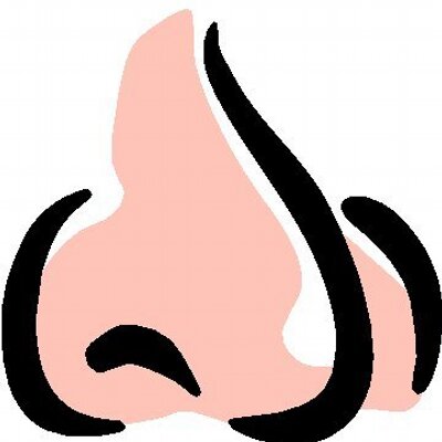 400x400 The Nose (@thenoseny) Twitter