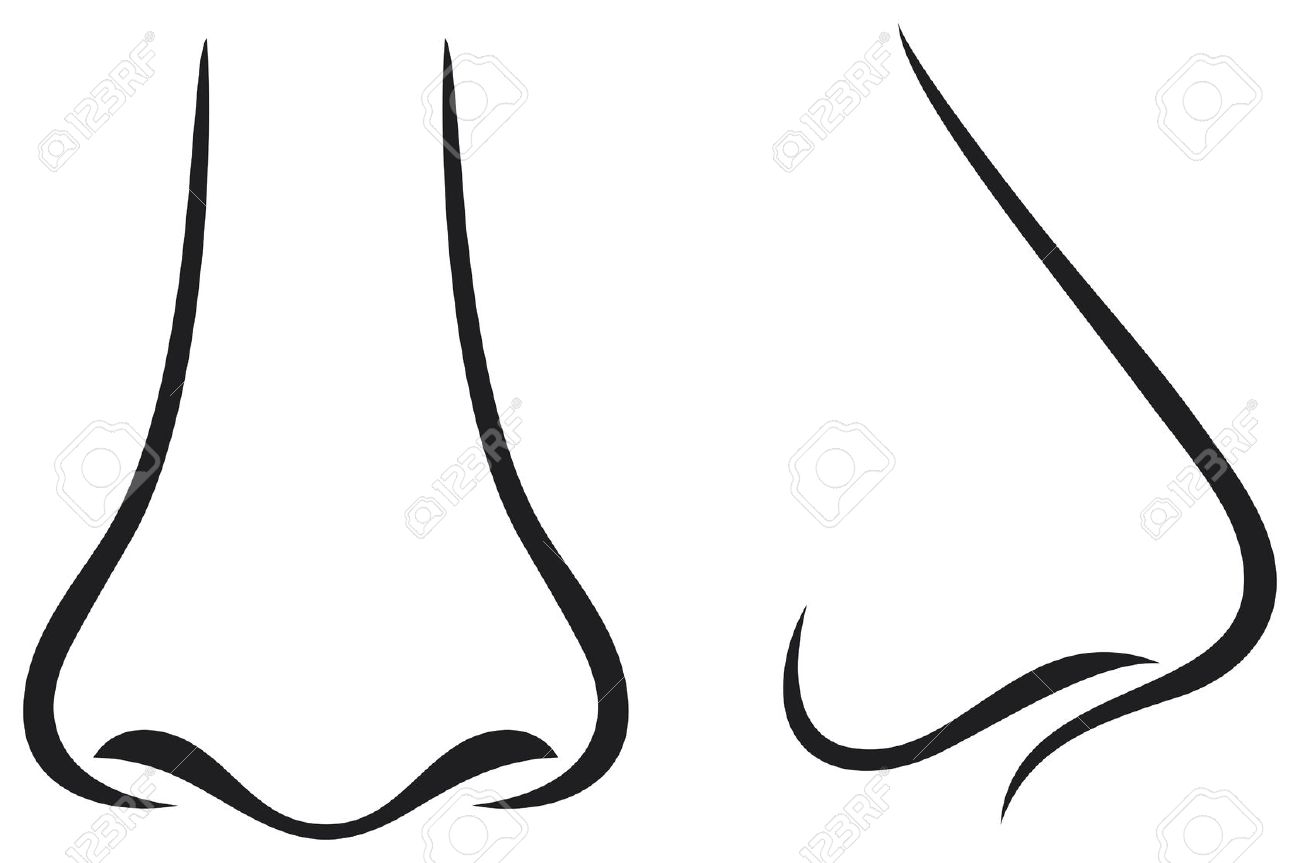 1300x863 Nose Clipart