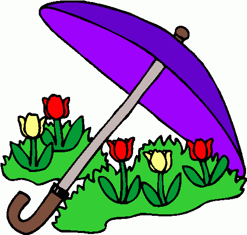 Image Of Umbrella
