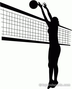 Image Of Volleyball