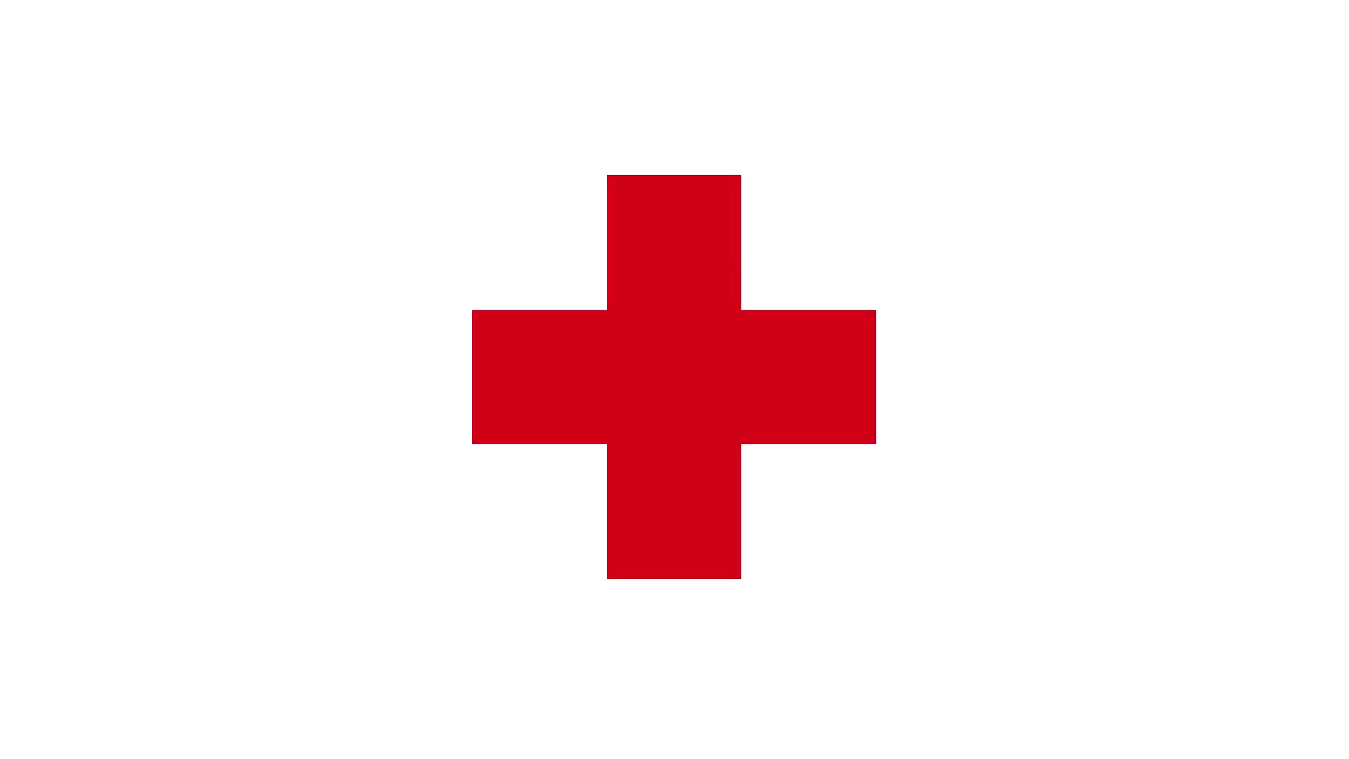 1920x1080 Christmas Supporter