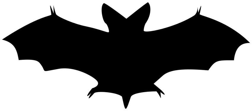 850x377 Bats Clip Art 3