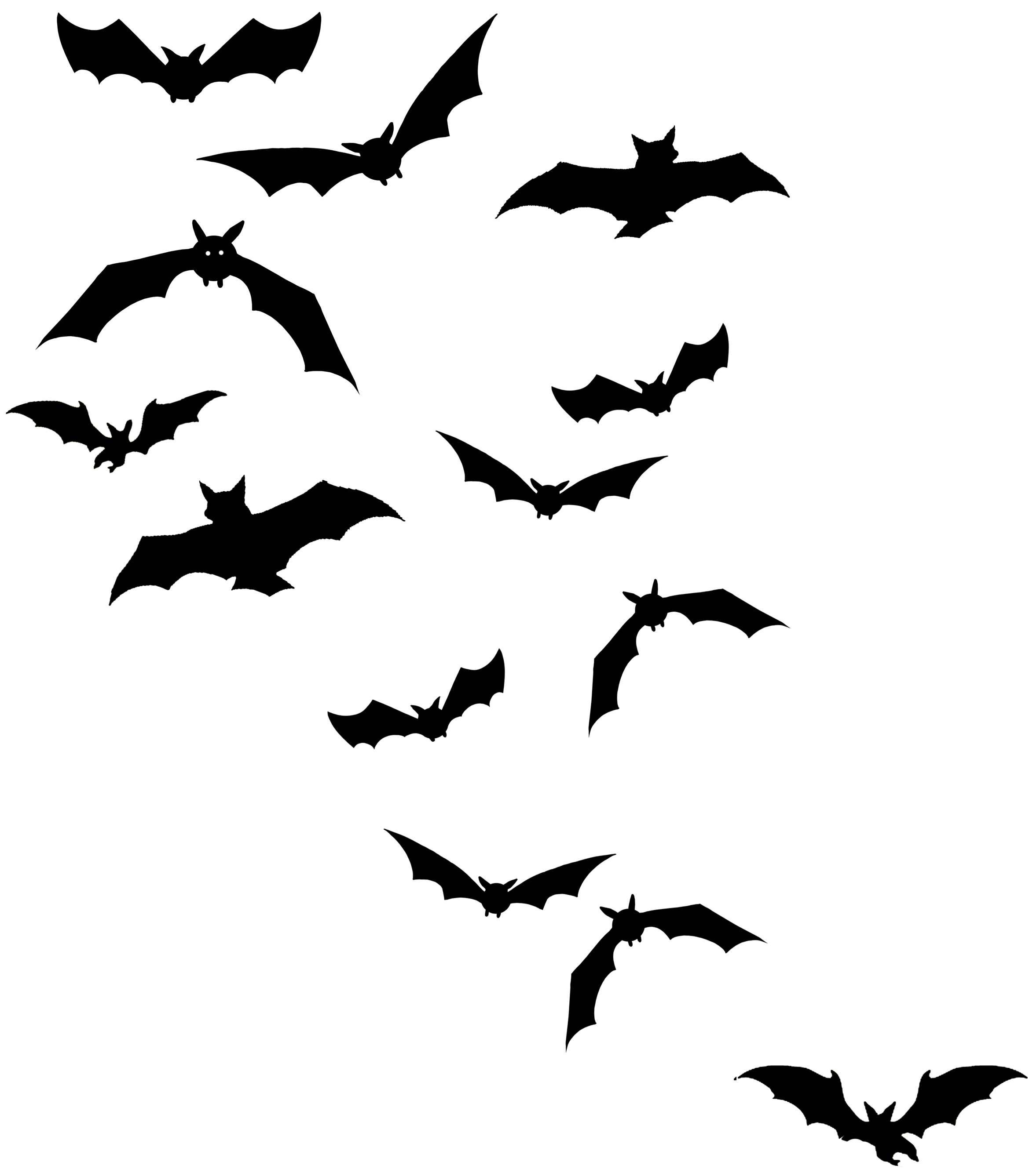 2339x2676 Flying Bat Clipart