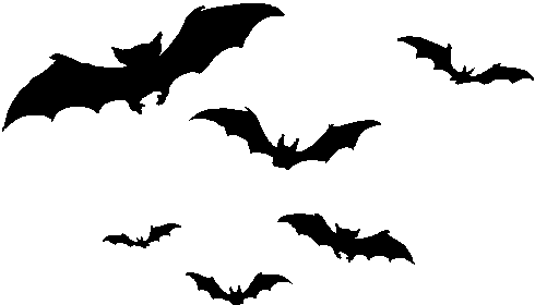 490x280 Flying Bats Clipart Images Image