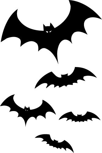 334x500 16 Best Bats For School Project Images A Snake