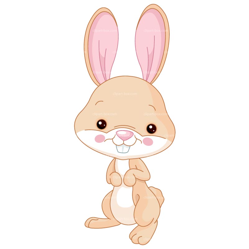 800x800 Cute Bunny Clipart