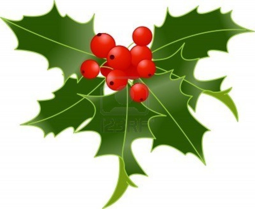 830x681 Holly Clip Art Cliparting With Regard To Christmas Holly Clipart