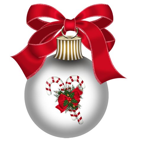 480x480 819 Best Christmas 2 Images Christmas Trees