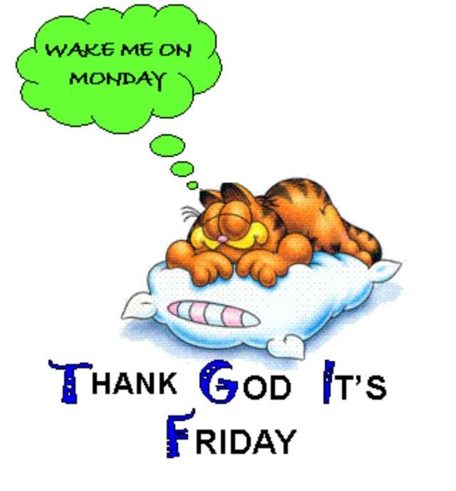 640x688 Thank God It's Friday Garfield Says Wake Me On Monday