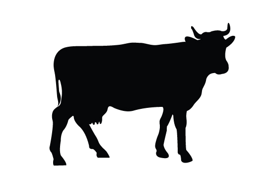 550x354 Cow Silhouette Vector