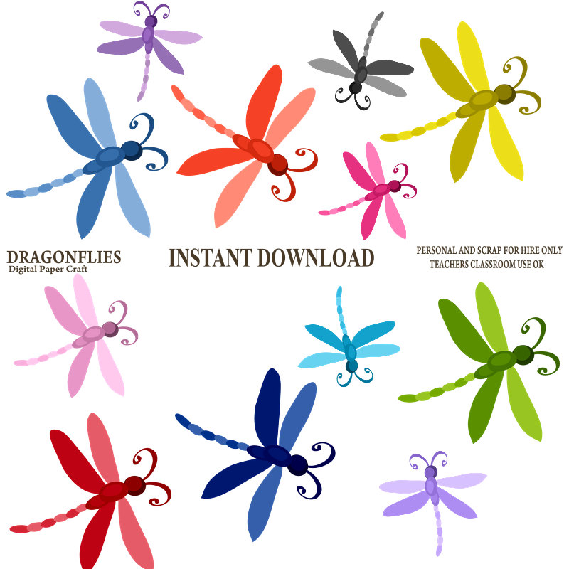800x800 Dragonfly Clipart, Dragonflies Clipart, Instant Download, Dragon