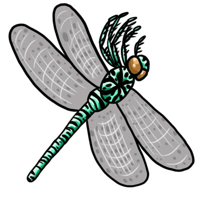 400x400 25 Free Dragonfly Clip Art Drawings And Colorful Images