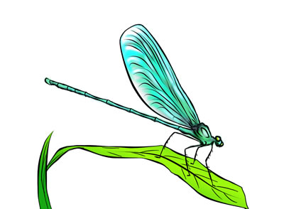 400x294 50 Free Dragonfly Clip Art 2