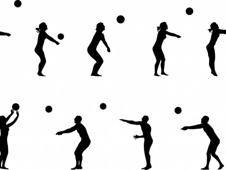 736x552 The Best Images Of Volleyball Ideas Volleyball