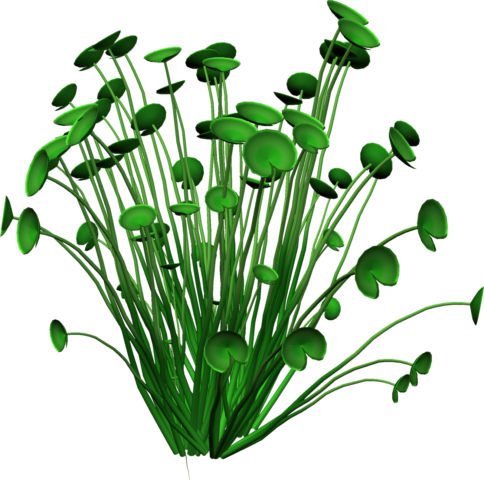 1600x1585 January Anniversary Cliparts