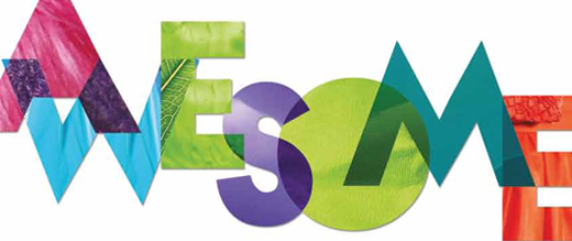 520x219 Awesome Images