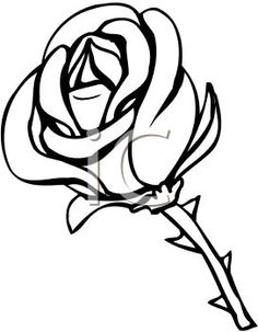 236x303 White Flower Clipart Colorable