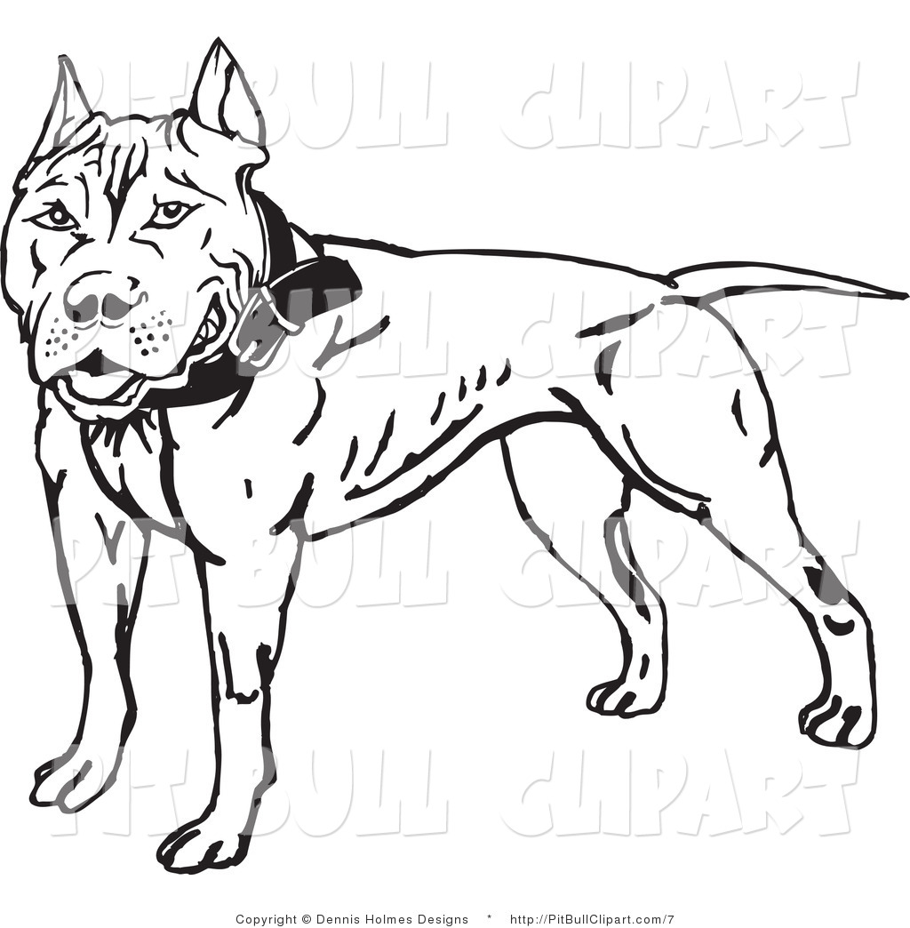 1024x1044 Clip Art Of A Black And White Pit Bull By Dennis Holmes Designs