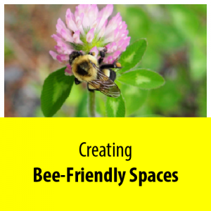 300x300 Great Canadian Bumble Bee Count Friends Of The Earth Canada