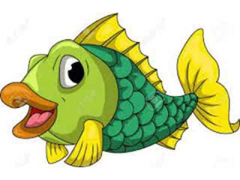 480x360 Cartoon Fish Pictures