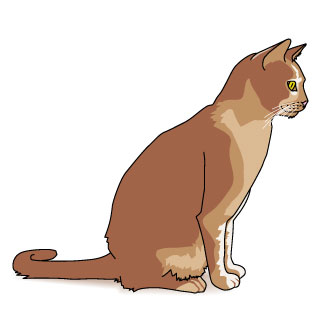 323x322 Cat Clipart Brown
