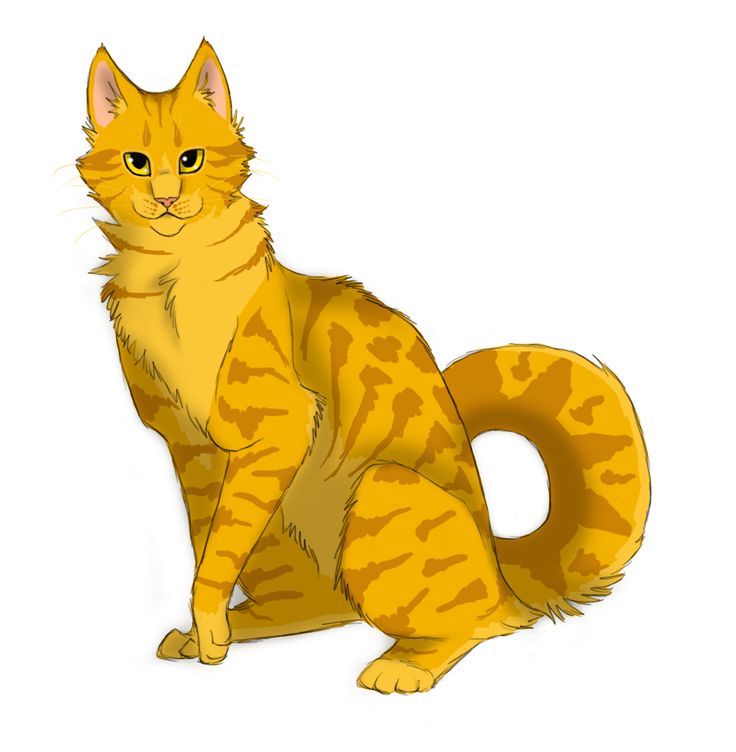 736x752 Warrior Cat Clipart