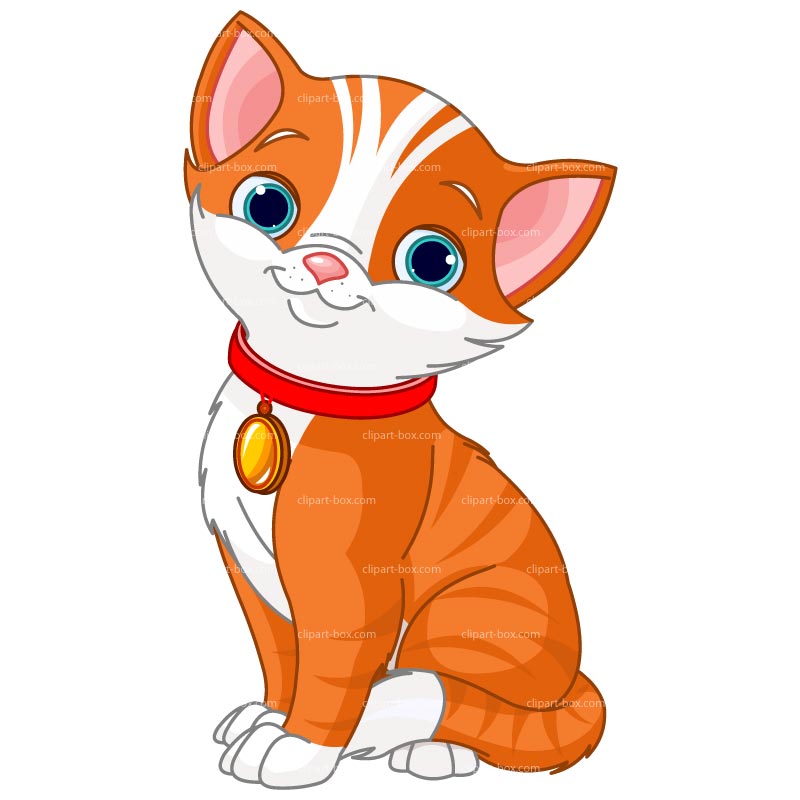 800x800 Cat Clipart Free