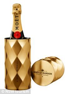 224x300 87 Best Classy Champagne Bottles Images Accessories