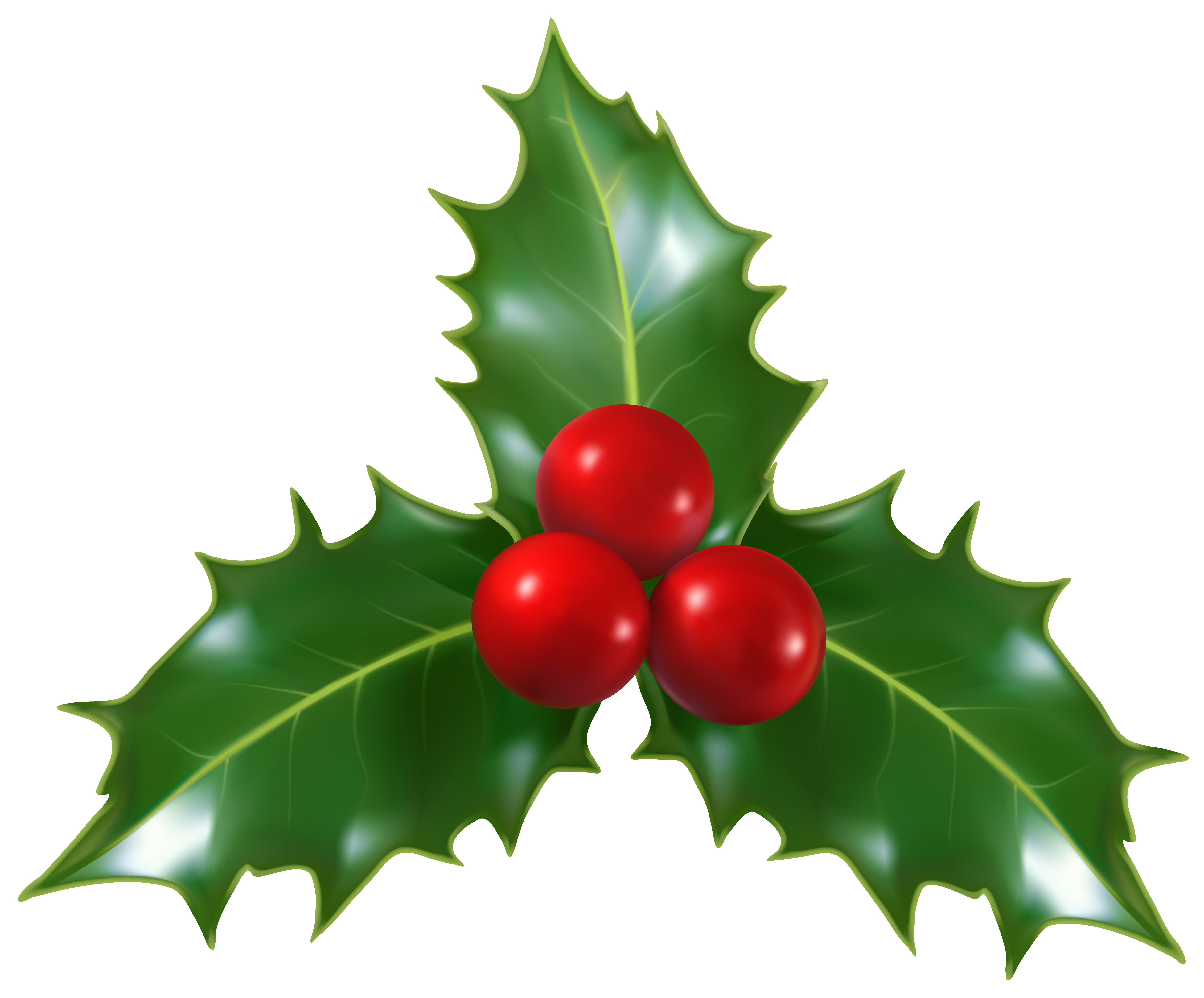 6313x5231 Christmas Holly Mistletoe Png Clip Art Imageu200b Gallery