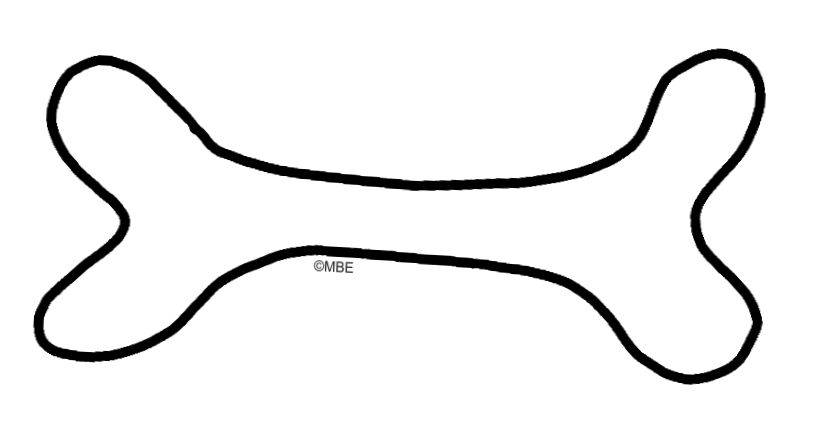 819x434 Dog Bone Drawings