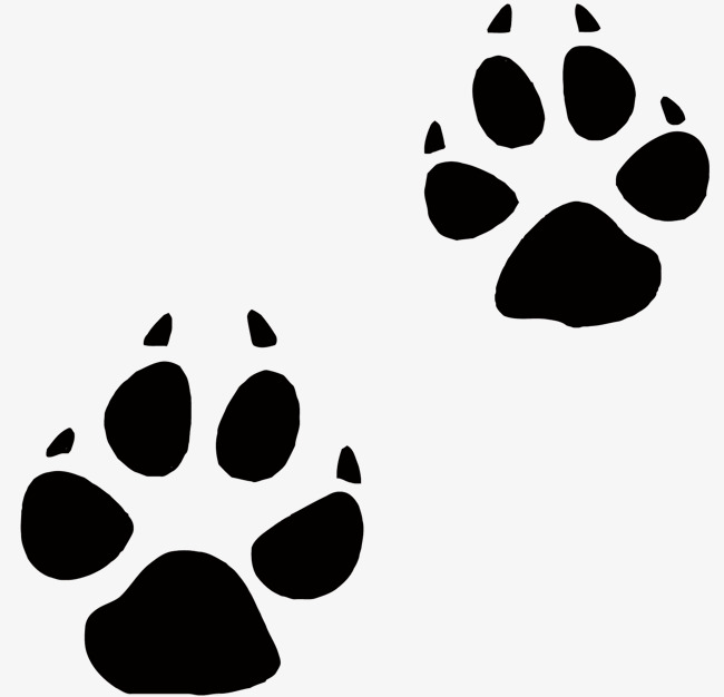 650x626 Vector Dog Claws, Dog Paws, Pet, Dog Claw Vector Png And Vector