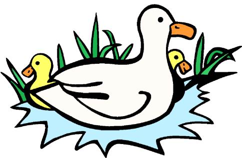 484x317 Ducks Clip Art 2
